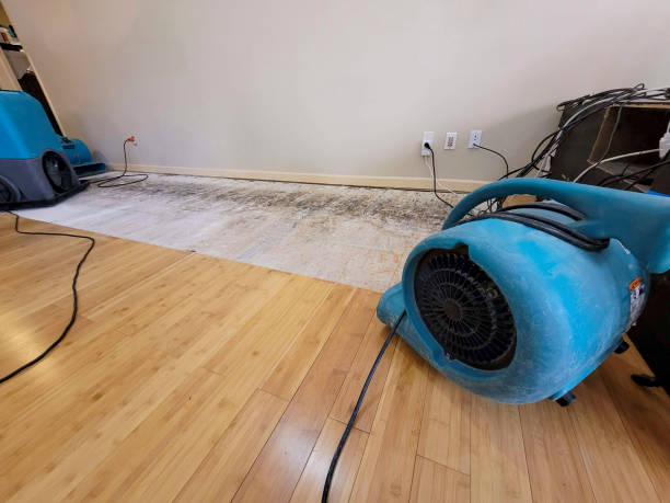 Professional Water Damage Repair technician working in Auburn, PA